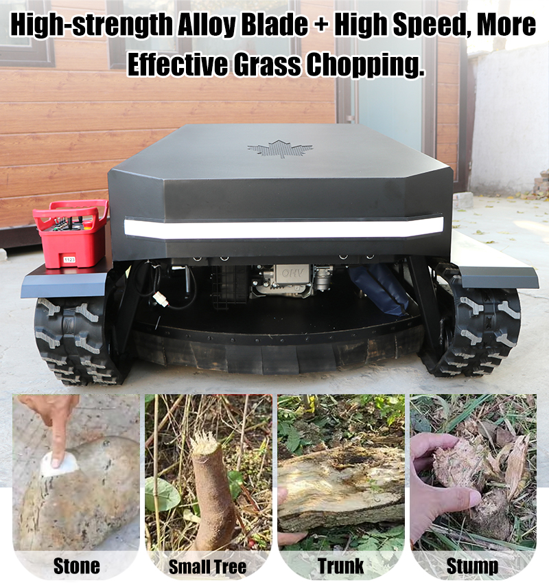 Многоцелевая газонокосилка.jpg