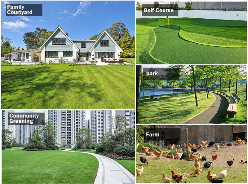 Высокоэффективная газонокосилка.jpg Высокоэффективная газонокосилка.jpg